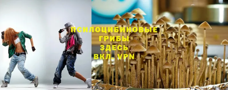 площадка как зайти  Ардон  Псилоцибиновые грибы MAGIC MUSHROOMS  дарнет шоп 